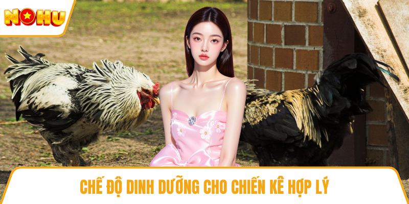 Chế độ dinh dưỡng cho chiến kê hợp lý