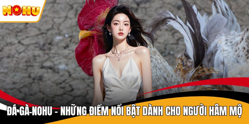 Đá Gà NOHU - Những Điểm Nổi Bật Dành Cho Người Hâm Mộ