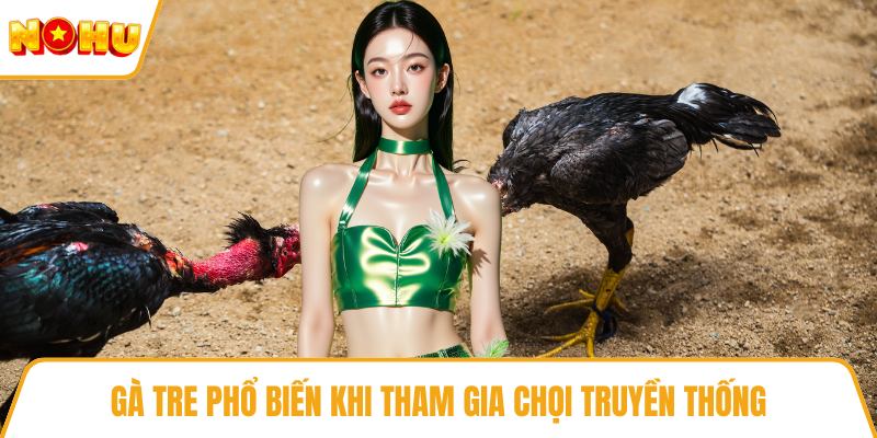 Gà tre phổ biến khi tham gia chọi truyền thống