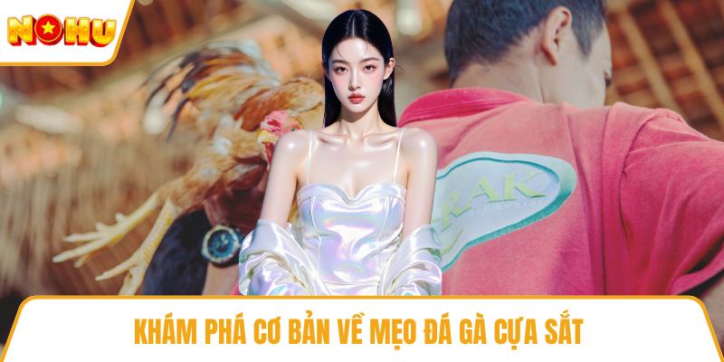 Khám phá cơ bản về mẹo đá gà cựa sắt 