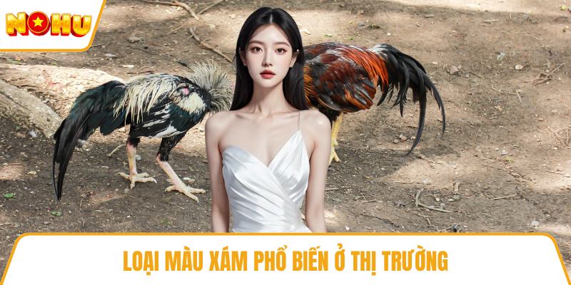 Loại màu xám phổ biến ở thị trường