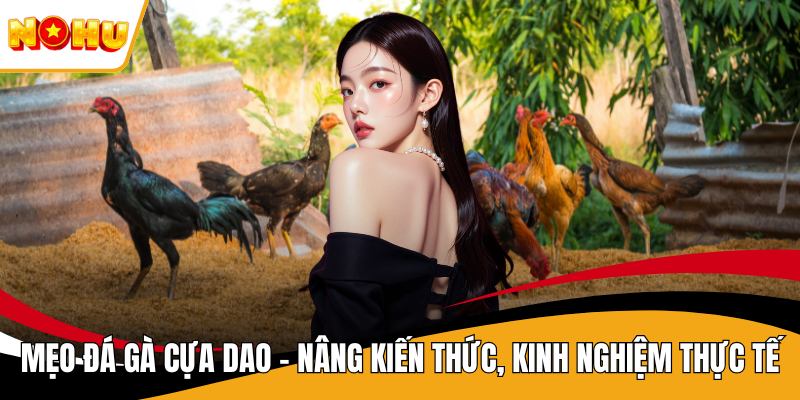 Mẹo Đá Gà Cựa Dao - Nâng Kiến Thức, Kinh Nghiệm Thực Tế