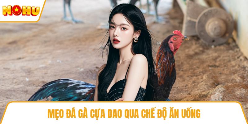 Mẹo đá gà cựa dao qua chế độ ăn uống