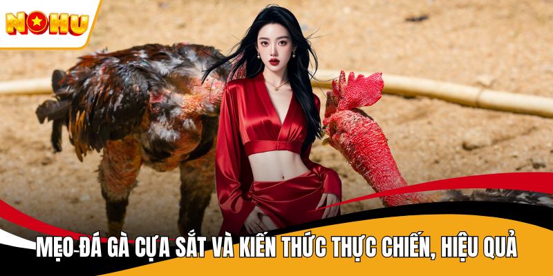 Mẹo Đá Gà Cựa Sắt Và Kiến Thức Thực Chiến, Hiệu Quả