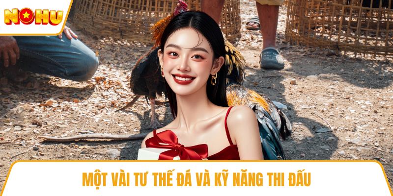 Một vài tư thế đá và kỹ năng thi đấu