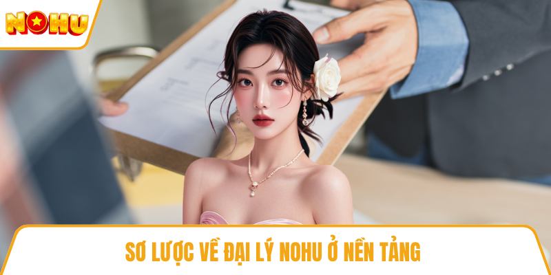 Sơ lược về đại lý NOHU ở nền tảng