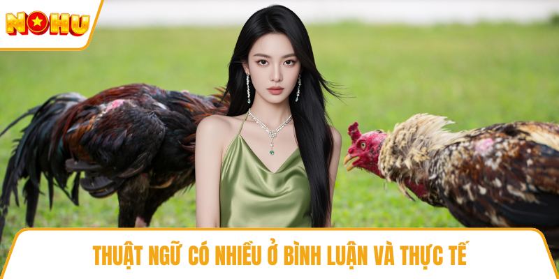 Thuật ngữ có nhiều ở bình luận và thực tế