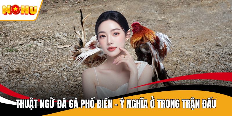 Thuật Ngữ Đá Gà Phổ Biến - Ý Nghĩa Ở Trong Trận Đấu