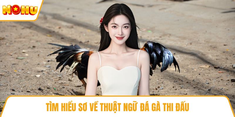 Tìm hiểu sơ về thuật ngữ đá gà thi đấu