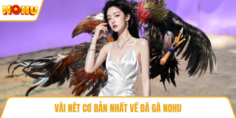 Vài nét cơ bản nhất về đá gà NOHU